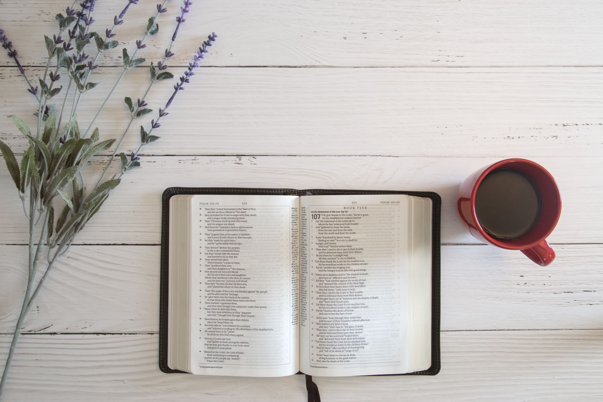 Bible Study